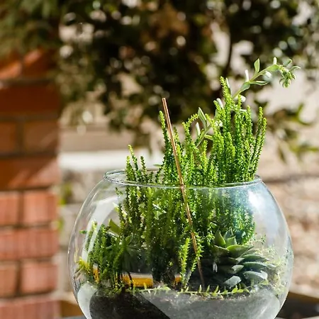 Gospodarstwo wiejskie Vale Do Grou Natura *