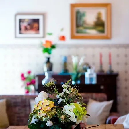 Vale Do Grou Natura 乡村民宿 *