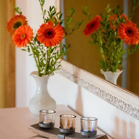 乡村民宿 Vale Do Grou Natura 奥比多斯