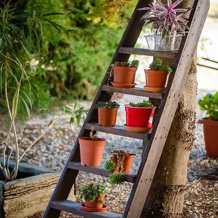 Vale Do Grou Natura 奥比多斯