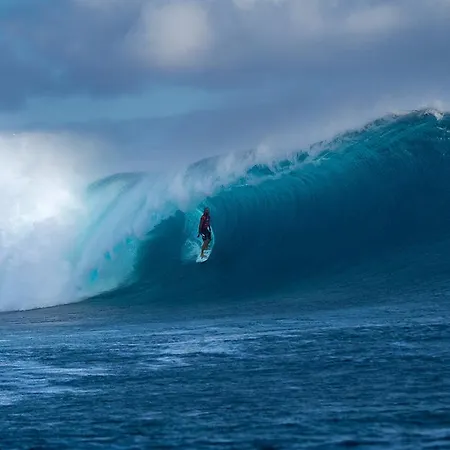 Vale Do Grou Natura 乡村民宿
